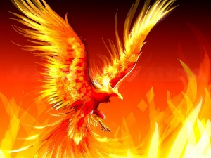 The-Fire-Phoenix