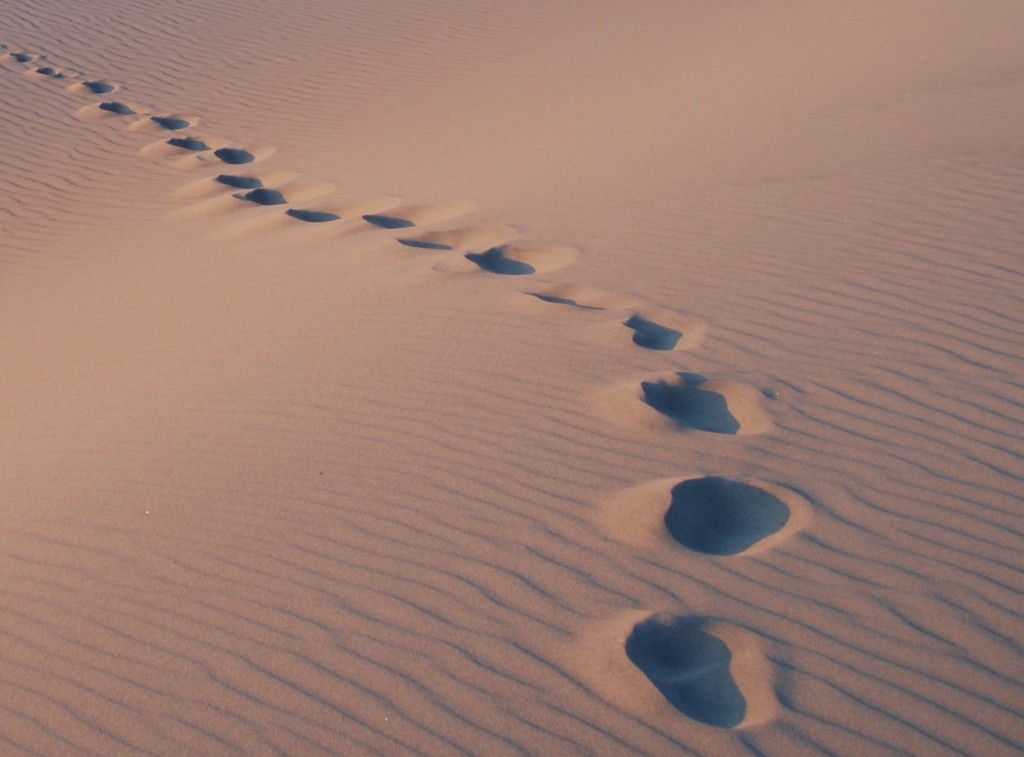 footprints left